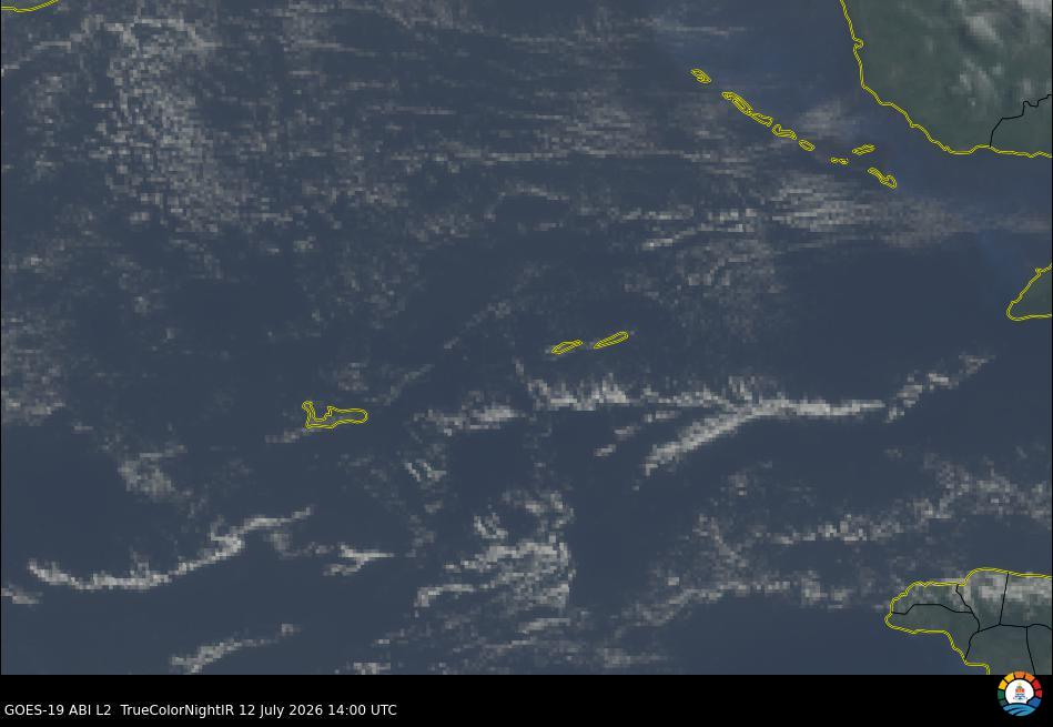 Cayman Visible