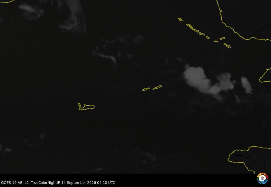 Cayman Visible