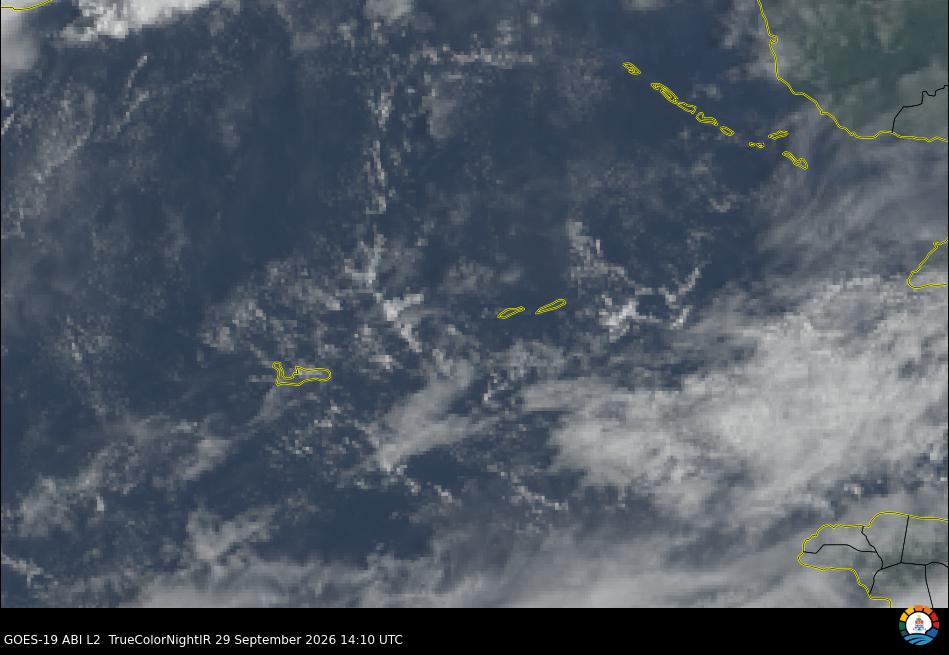 Cayman Visible