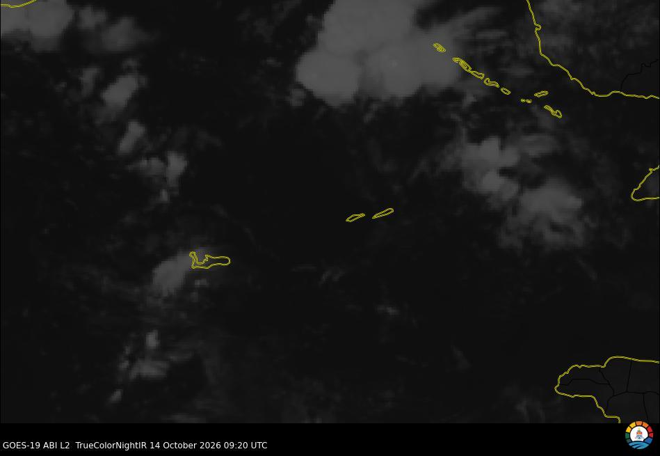 Cayman Visible