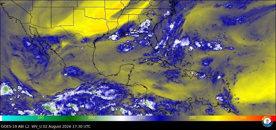 High Level Water Vapor