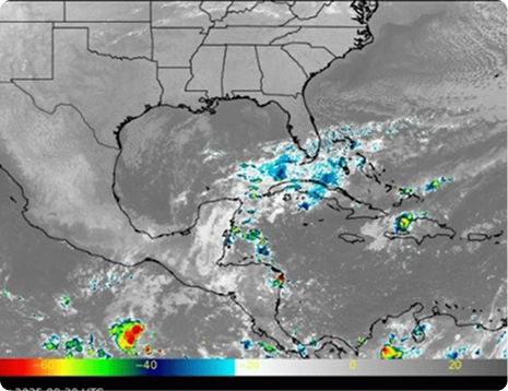 Satellite Image